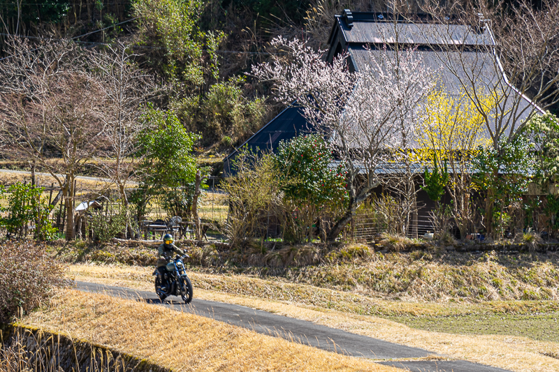 兵庫県道36号線　西脇篠山線　古民家とハーレー