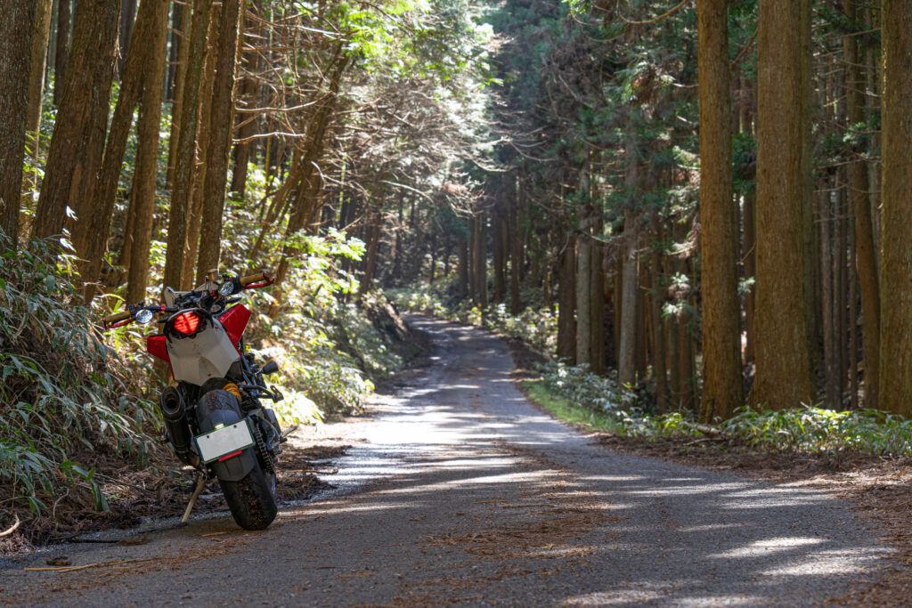 奈良県道28号線　吉野室生針線　国道369号線 以南　ワイルドな道