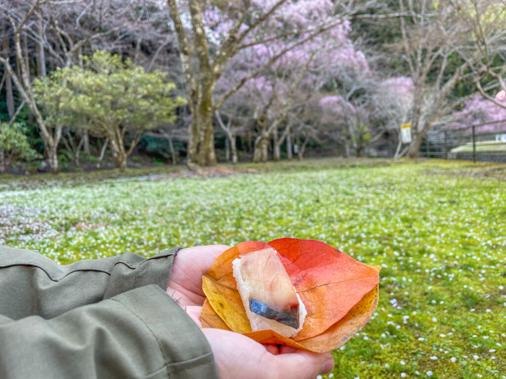 あきつの小野公園と柿の葉寿司