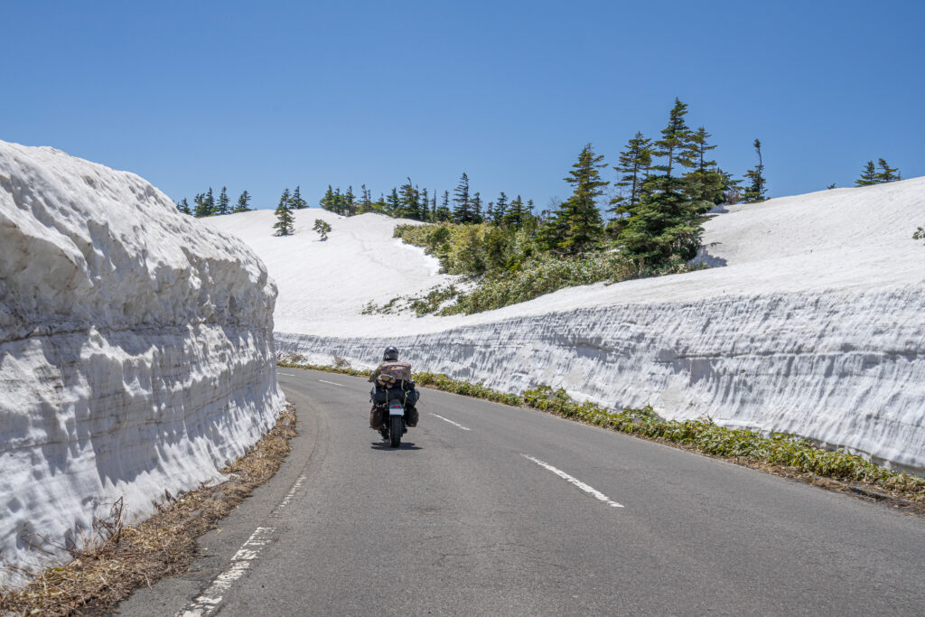 志賀草津高原ルート　雪の回廊