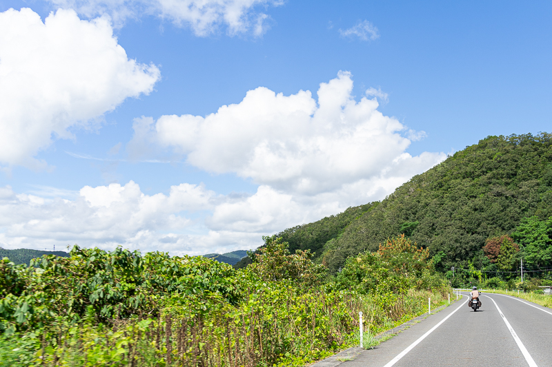 美作やまなみ街道の気持ちのいい景色