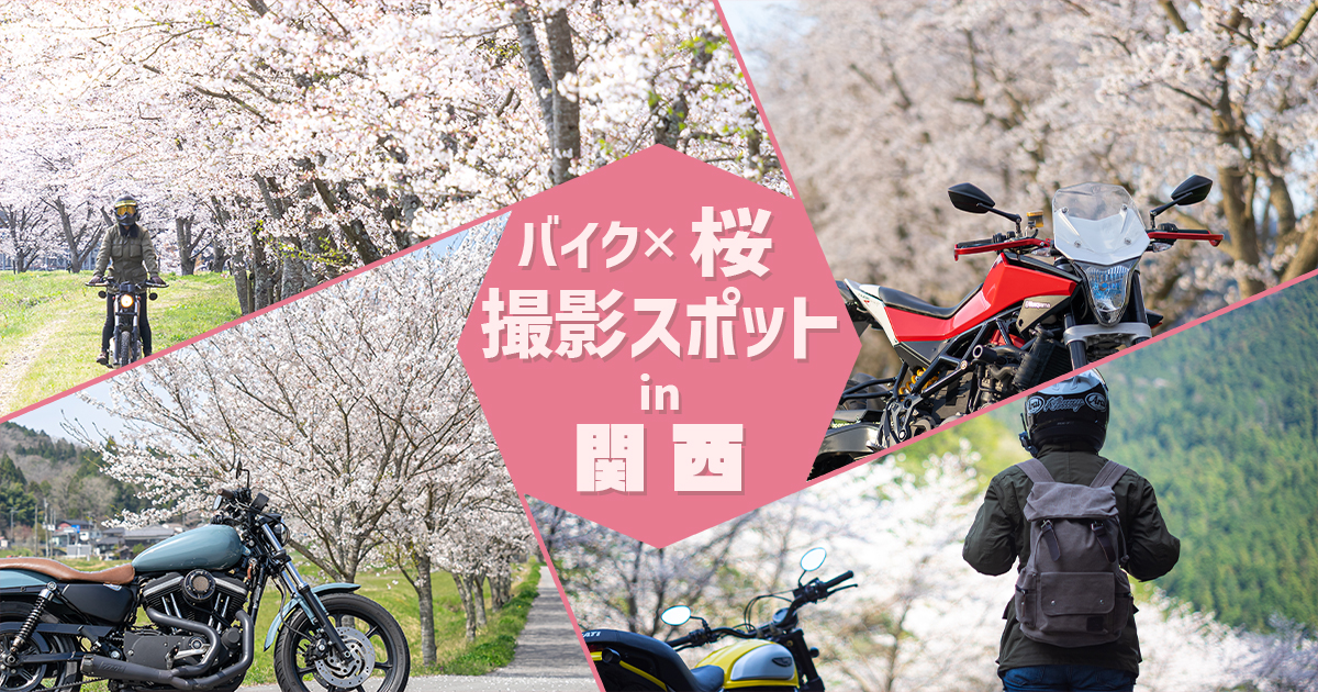 バイクと桜が撮れる！関西の横付けスポット7選｜愛車を映えさせる撮影術【2026最新】