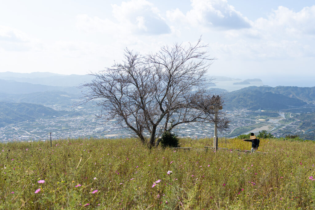 写真撮影を楽しむ